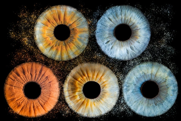5 iris